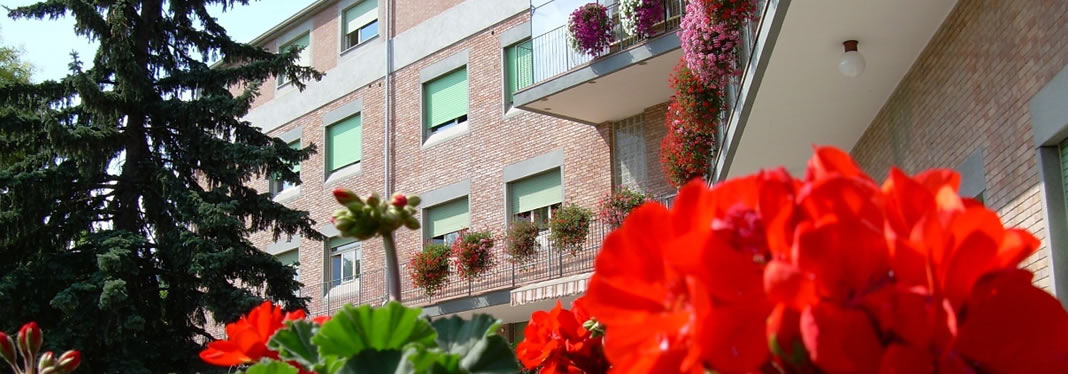 Presentazione della Struttura