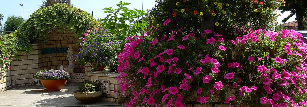 Mission della Struttura